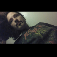 Looking for a roommate in South STL, North STL, North County - Saint Louis