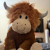 Looking for a roommate in Central Charlotte, North Charlotte, South Charlotte, East Charlotte, West Charlotte - Charlotte