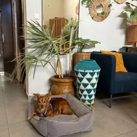 Looking for a roommate in Downtown TO, Midtown TO - Toronto