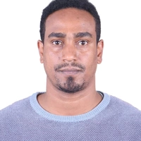 Looking for a roommate in NE Calgary - Calgary