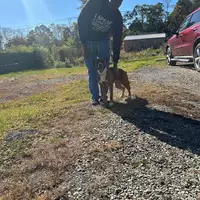 Looking for a roommate in Baltimore Metro Area - Washington DC