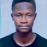 Looking for a roommate in Central, Far North Side, Chicago Burbs - Chicago