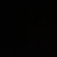 Looking for a roommate in East Van, North Shore Vancouver, Outer Vancouver, South Van, West Van, Downtown Van, Burnaby / New West, Surrey - Vancouver