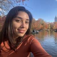 Looking for a roommate in Brooklyn, Queens - New York