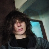 Looking for a roommate in North STL - Saint Louis