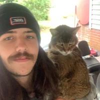 Looking for a roommate in Central Charlotte, South Charlotte, East Charlotte, West Charlotte - Charlotte