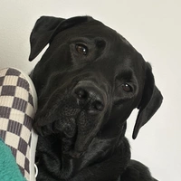 Looking for a roommate in Clearwater-St. Petersburg - Tampa