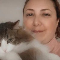 Room for rent in La Mesa - East SD, San Diego