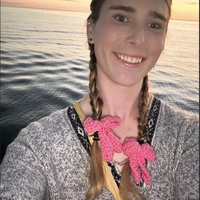 Looking for a roommate in San Francisco, East Bay, Peninsula, North Bay, South Bay, Santa Cruz, Contra Costa County - San Francisco