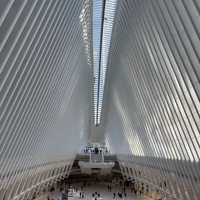 Looking for a roommate in Brooklyn, Jersey City / Hoboken - New York