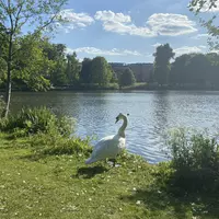 Looking for a roommate in Downtown TO - Toronto