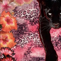 Looking for a roommate in Brooklyn, Queens, The Bronx - New York