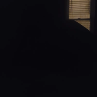 Looking for a roommate in Central, Far North Side, North Side, Northwest Side, Chicago Burbs - Chicago