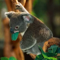 Looking for a roommate in Downtown TO, Mississauga, East TO, West TO, Midtown TO - Toronto