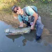 Looking for a roommate in Downtown TO, York Region, Mississauga, North York, Etobicoke, Scarborough, East TO, West TO, Midtown TO - Toronto