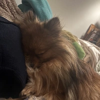 Looking for a roommate in Manhattan - New York