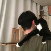 Looking for a roommate in York Region, Mississauga, Brampton Caledon, North York, Etobicoke, Scarborough - Toronto