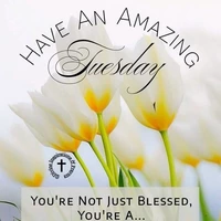 Looking for a roommate in NE DC, NW DC, North Maryland, Baltimore Metro Area - Washington DC