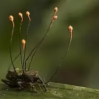 Looking for a roommate in Manhattan, Brooklyn, Queens - New York