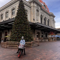 Looking for a roommate in East Denver - Denver