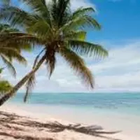 Looking for a roommate in Central Los Angeles, Westside / South Bay - Los Angeles