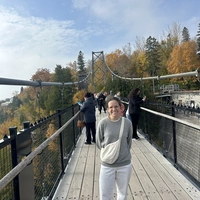 Looking for a roommate in Downtown TO, York Region, North York, Etobicoke, Scarborough, East TO, West TO, Midtown TO - Toronto