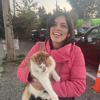 Looking for a roommate in Central Seattle, North Seattle - Seattle