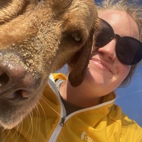 Looking for a roommate in Manhattan, Brooklyn - New York