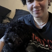 Looking for a roommate in Manhattan, Queens, The Bronx, Jersey City / Hoboken - New York