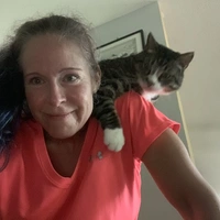 Looking for a roommate in Center Denver, North Denver, East Denver, West Denver, South Denver, Outer Denver - Denver