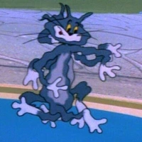 Looking for a roommate in Downtown TO, West TO - Toronto