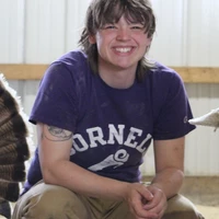 Looking for a roommate in Central ABQ, Eastside ABQ, SE ABQ, South Valley ABQ - Albuquerque