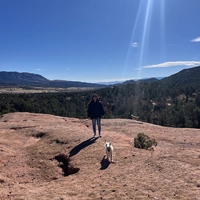 Looking for a roommate in Central COS, South COS, North COS - Colorado Springs