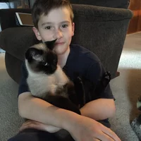 Looking for a roommate in City Centre, East Calgary - Calgary