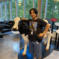 Looking for a roommate in Central Austin, South Central Austin, North Central Austin, North Austin, East Austin, West Austin, South Austin - Austin