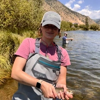 Looking for a roommate in Central Tampa - Tampa