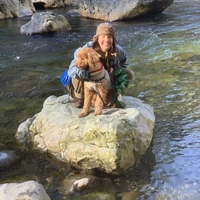 Looking for a roommate in South King / Puget Sound - Seattle