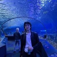 Looking for a roommate in Manhattan, Brooklyn, Queens - New York