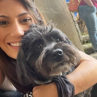 Buscando compañero de cuarto en Palm Beach County - Miami