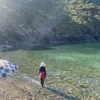 Looking for a roommate in Gatineau - Ottawa