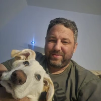 Looking for a roommate in North Denver, East Denver, Outer Denver - Denver