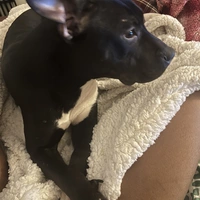 Looking for a roommate in Manhattan, The Bronx - New York