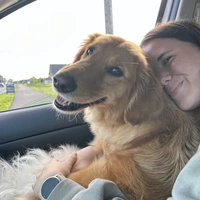 Looking for a roommate in East Denver - Denver