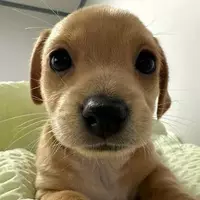 Buscando compañero de cuarto en Sarasota, Bradenton, Sarasota Keys - Sarasota