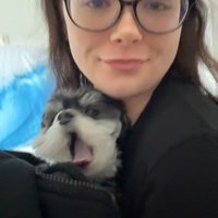 Looking for a roommate in Westside / South Bay - Los Angeles