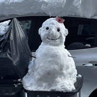 Looking for a roommate in Manhattan, Brooklyn, Queens - New York