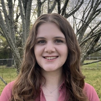 Looking for a roommate in Inner VA - Washington DC