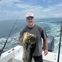 Looking for a roommate in Central SLC - Salt Lake City