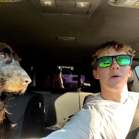 Looking for a roommate in Ne Dallas - Dallas