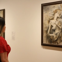 Looking for a roommate in Manhattan, Brooklyn, Queens, Jersey City / Hoboken - New York